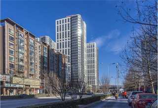 特殊益生菌功能