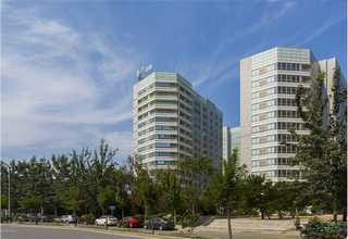 常州黑珍珠粉圆排名